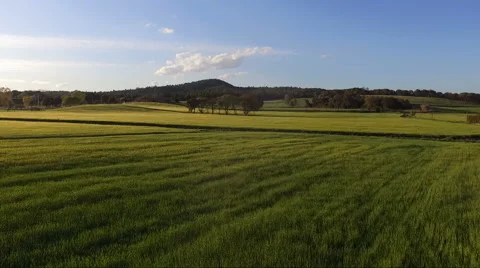 Flying over green field with trees 스톡 동영상 62743060