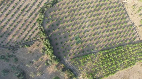 Flying over green Fields. 4K Aerial Clip Captured With Drone Cam 스톡 동영상 67358040