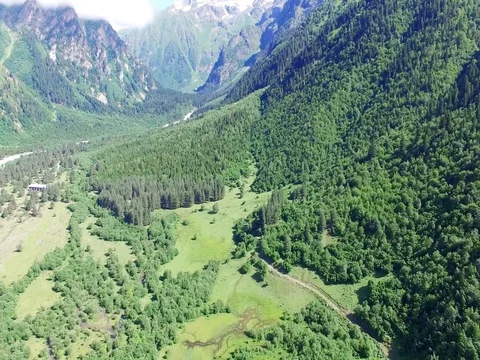 Flying over green fields and forest in Mountain Valley Aerial 4k video Stock Footage 80314487