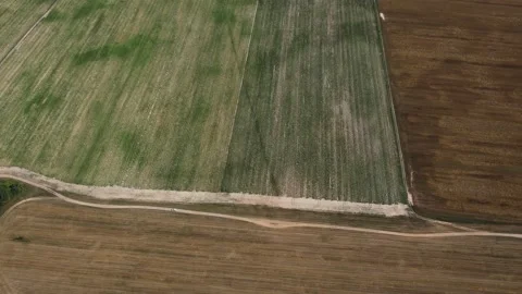 Flying over green fields and forests.Hot summer.Sunny.Aerial photography Stock Footage 164424788