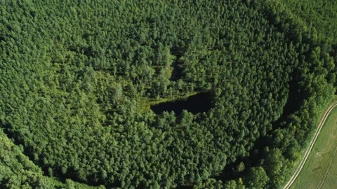 Flying over green fields and forests.Hot summer.Sunny.Aerial photography Stock Footage 164424814