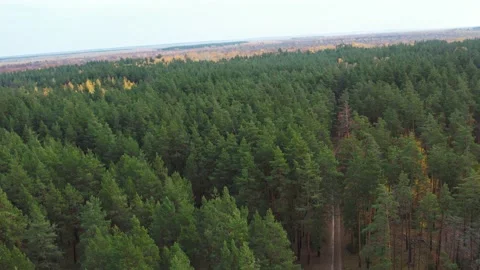 Flying over green fields and forests.Hot summer.Sunny.Aerial photography Stock Footage 164425076