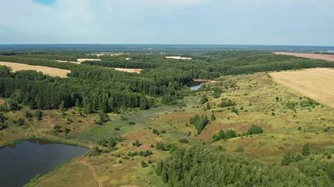 Flying over green fields and forests.Hot summer.Sunny.Aerial photography Видео 164425257