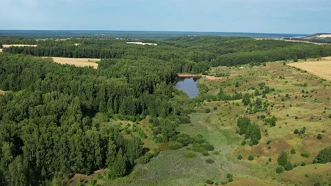 Flying over green fields and forests.Hot summer.Sunny.Aerial photography Видео 164425261