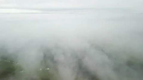 Flying over green fields and hay bales above dense fog. Stratus. Stock Footage 234638761