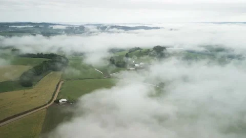Flying over green fields and golden wheat fields. Above the clouds. Stratus. Stock Footage 234638851