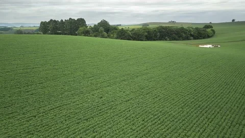 Flying over green fields in a cloudy day. South of Brazil. 4K. Stock Footage 233105841