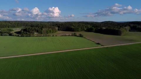 Flying over green fields of crops in swedish landscape on sunny day Stock Footage 195999250