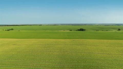 Flying Over Green Fields Vídeo Stock 64737434