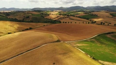 Flying over green fields Stock Footage 135529084
