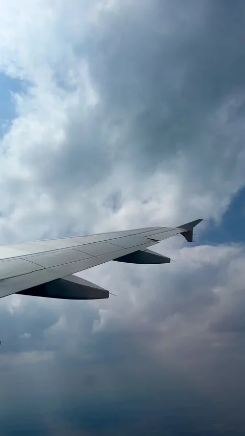 Flying over green fields Stock Footage 277084914