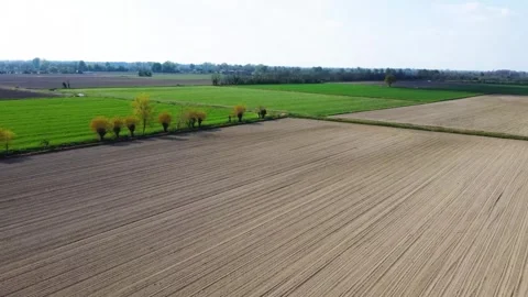 Flying over green fields Stock Footage 284244741