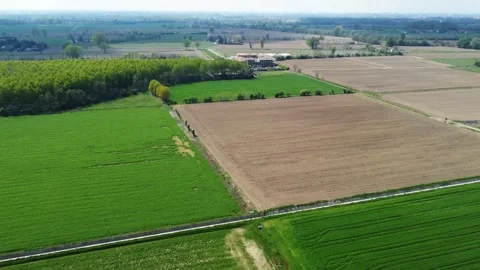Flying over green fields Stock Footage 284244829
