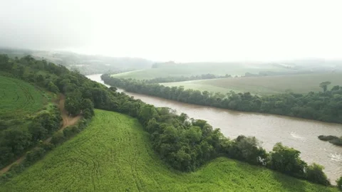 Flying over green fields, forest and river amid dense fog. Low clouds. Stock Footage 233218573