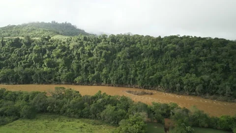 Flying over green fields, forest and river. Low clouds. Aerial. Video stock 233218575