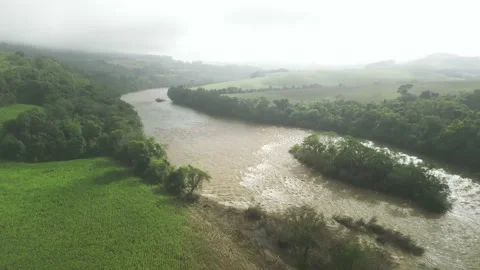 Flying over green fields, forest and river amid dense fog. Low clouds. Video stock 233218674