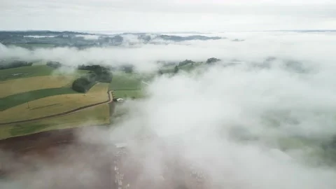 Flying over green fields, golden wheat fields and road. Above the clouds. Stock Footage 234638792
