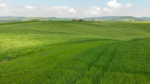 Flying over green fields of Tuscany, Italy. Video stock 90889996