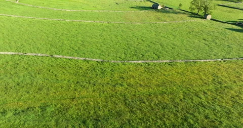 Flying over green fields in Yorkshire Dales Stock Footage 343796031