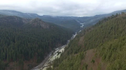 Flying over the green forest Stock Footage 59123595