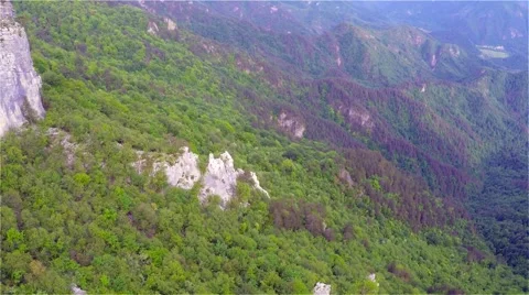Flying over the green forest Stock Footage 63852352