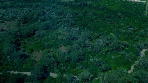 Flying over green forest Video stock 123271839