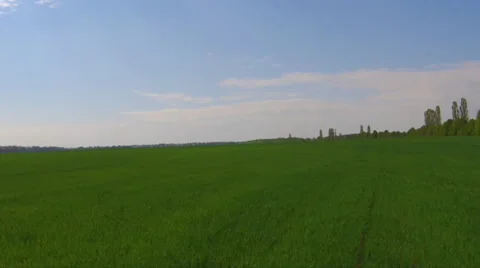 Flying over a green grass field Stock Footage 50024490