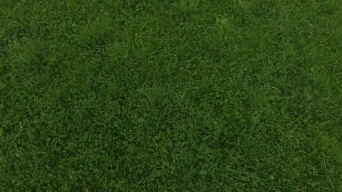 Flying over green grass field Stock Footage 139733690