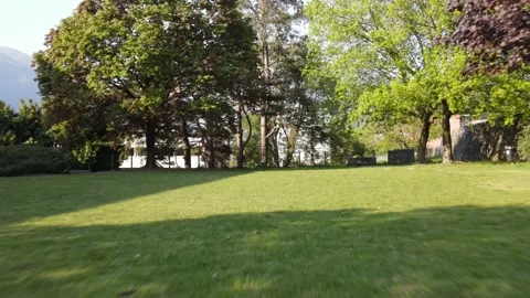 Flying over green grass Video stock 154492649