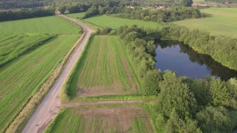 Flying over green meadow with small trees Stock Footage 159798546