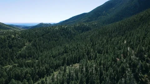 Flying Over Green Mountain Falls CO Pines 4K Stockbeeldmateriaal 348316044