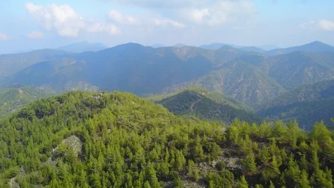 Flying over green pine forests in mountains Stock Footage 98860359