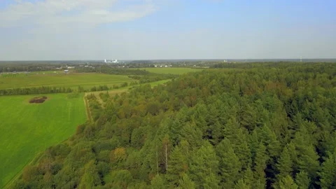 Flying over the green Russian forest Stock Footage 165170936
