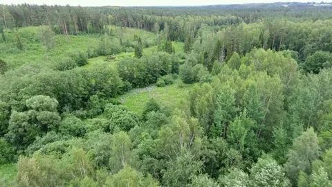 Flying over green summer forest. Latvia 動画素材 117472081