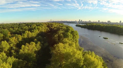 Flying over the green trees along the river Video stock 55618318