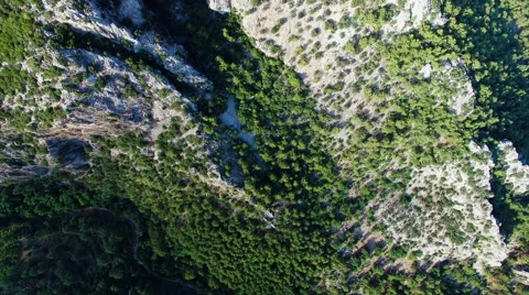 Flying over Green Trees and Mountain With Drone Cam. 4K Clip Stock Footage 65400077