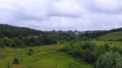 Flying over green trees forest Stock Footage 131033667