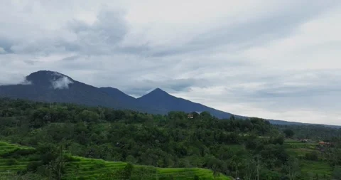 Flying over green trees in the rainforest with mountains on background Stock Footage 311591992