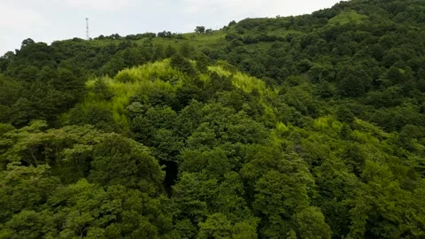 Flying over a green trees on a very high mountain Vidéo 256605053