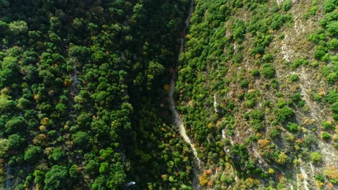 Flying over the green valley. Beautiful valley view from above. Dry river Stock Footage 165932545