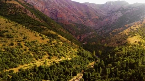 Flying Over the Green Valley Stock Footage 289057595
