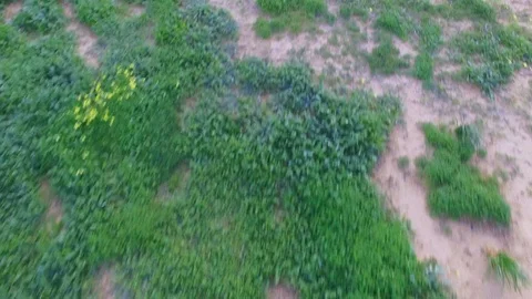 Flying over the ground quickly Stock Footage 91755111