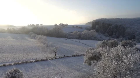 Flying over group of frozen trees. Video stock 71126607