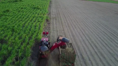 Flying over harvest Vídeo Stock 77011875