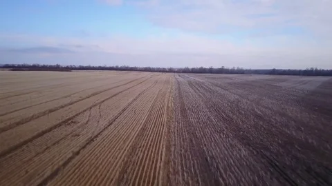 Flying over harvest Stock Footage 77718074