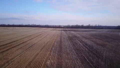 Flying over harvest Stock Footage 77718304