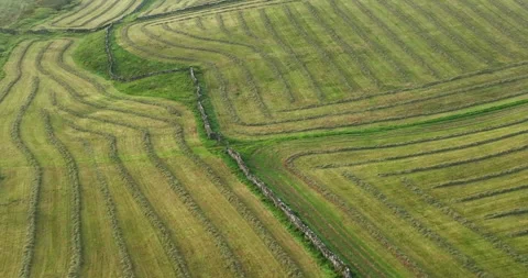 Flying over hayfields Stock Footage 250464881