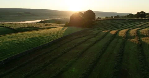 Flying over hayfields at sunrise Stock Footage 313888181