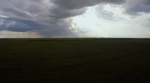 Flying over the herd of cows grazing in a green field. Summer day. Clouds on the Stock Footage 64970600