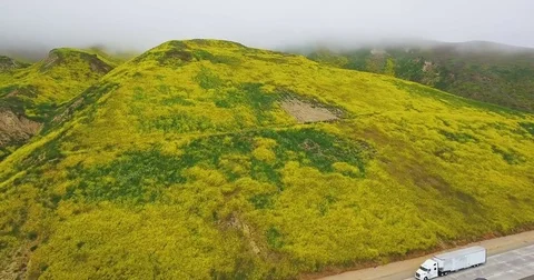 Flying up over highway 101 at flower covered mountains, fog layer Stock Footage 74607129